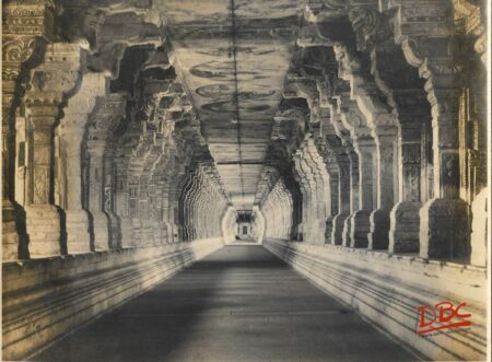 RAMESH WARAM: VIEW OF THE LONG SOUTHERN CARRIDAR