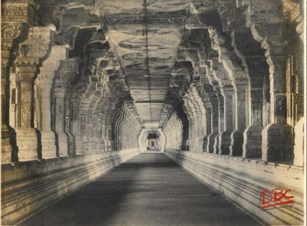 RAMESH WARAM: VIEW OF THE LONG SOUTHERN CARRIDAR