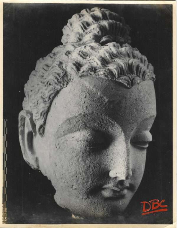 Textile : Budha Head