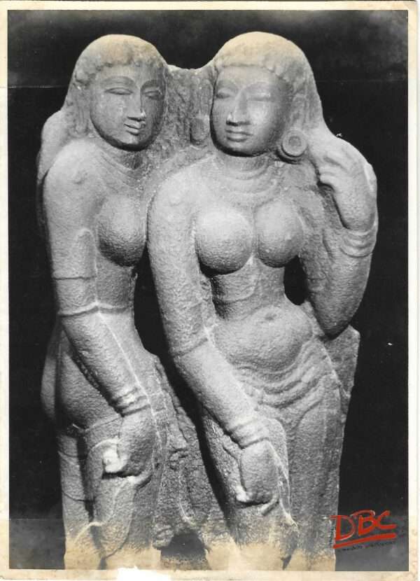 tanjare: rishi patni