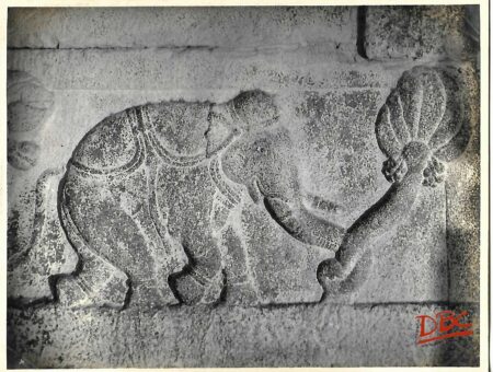 Lepakashi Veerabhadra temple An Elephant
