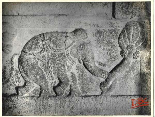 Lepakashi Veerabhadra temple An Elephant