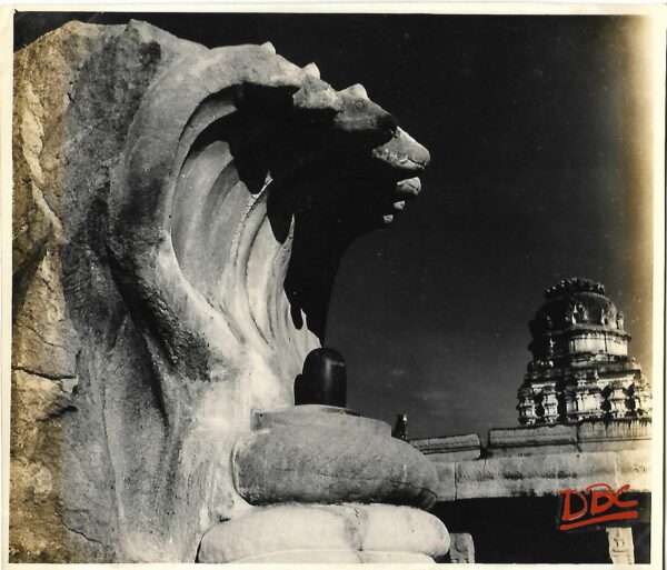 Lepakashi Veerabhadra temple Side view of Sevpaubhord