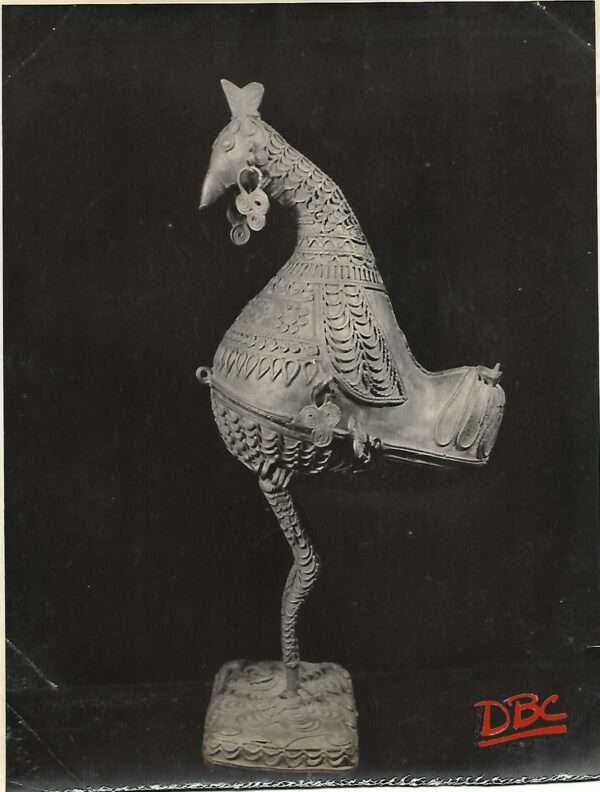 Dhorra hen