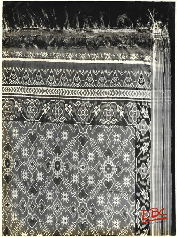 Gujarat Patola sari
