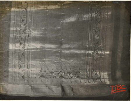 Painthan sari(Andhra Pradesh)
