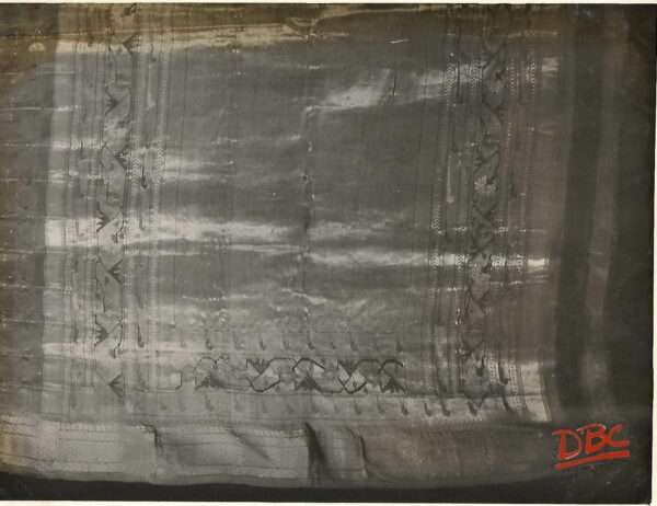 Painthan sari(Andhra Pradesh)