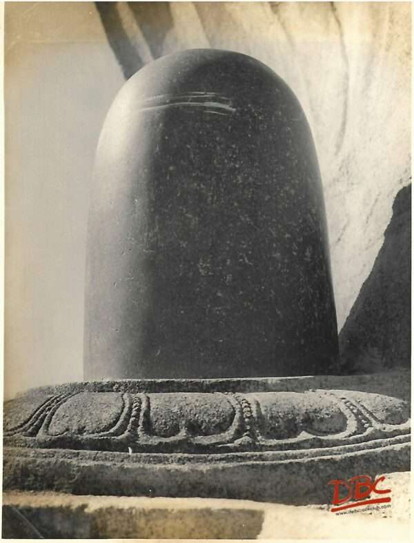 Veerabhadra Temple at  Lepakshi Andhra Pradesh Linga under the serpant hood
