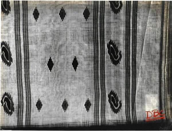 Calcutta Sari