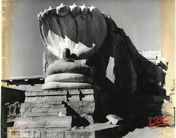 Veerabhadra Temple at  Lepakshi Andhra Pradeshe  A view of serpant hood