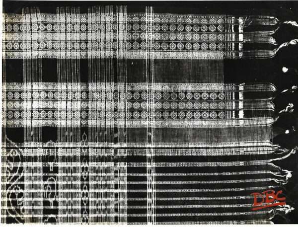 Kantilatu Cotton Sari(Orissa)