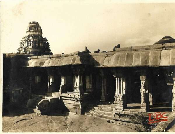 Bhadre Temple A View of The Temple With Natyamandpa