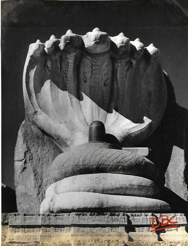 Lepakshi- Veeradhadra Temple Close Up of Serpent Hood