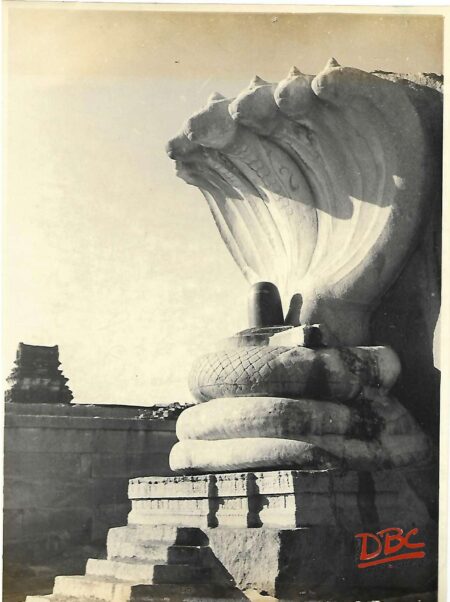 Lepakshi- Veeradhadra Temple Side View of Serpent Hood