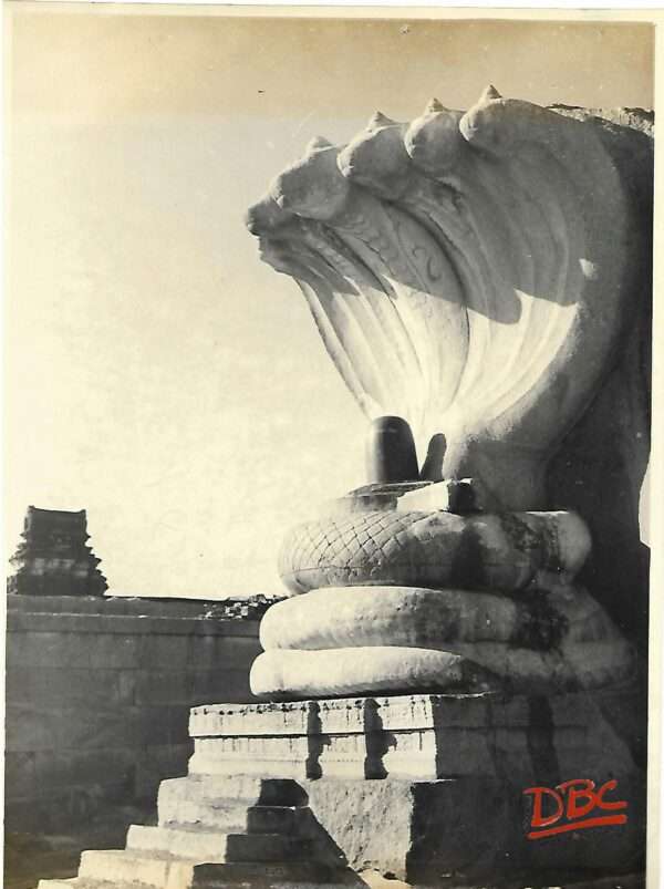 Lepakshi- Veeradhadra Temple Side View of Serpent Hood