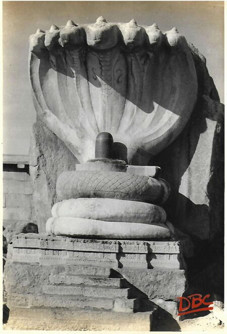 Lepakshi- Veeradhadra Temple Serpent Hood