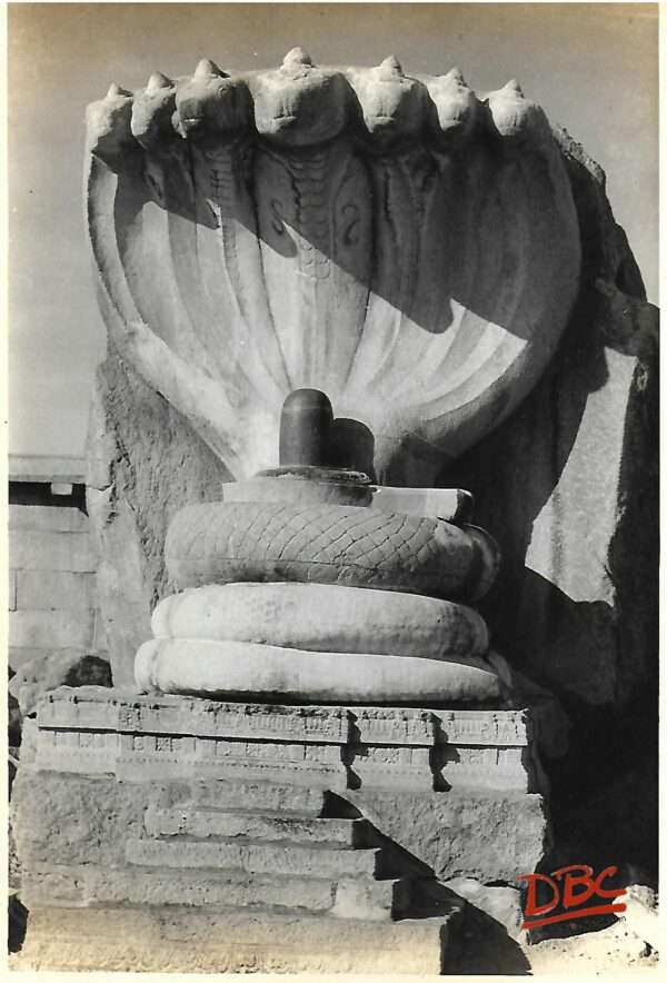 Lepakshi- Veeradhadra Temple Serpent Hood