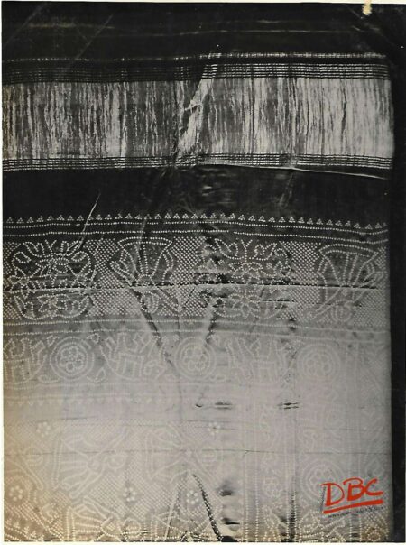 Sari Rajasthan