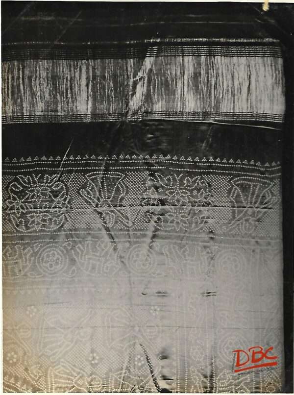 Sari Rajasthan