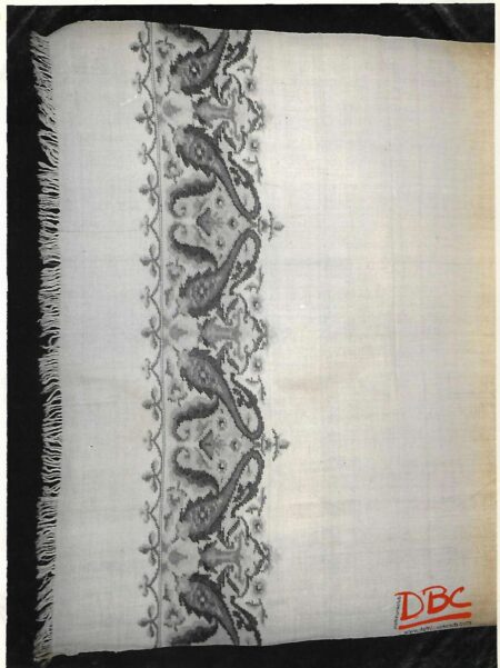 Pashmina Shawl