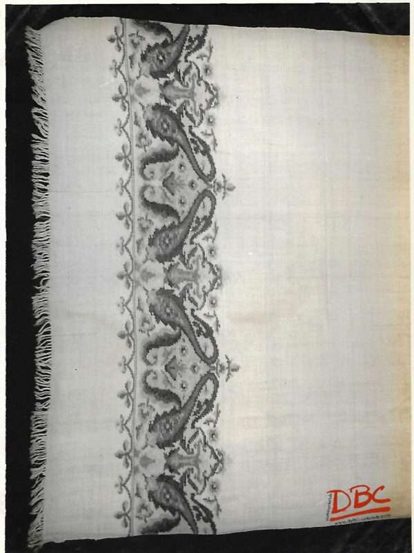 Pashmina Shawl
