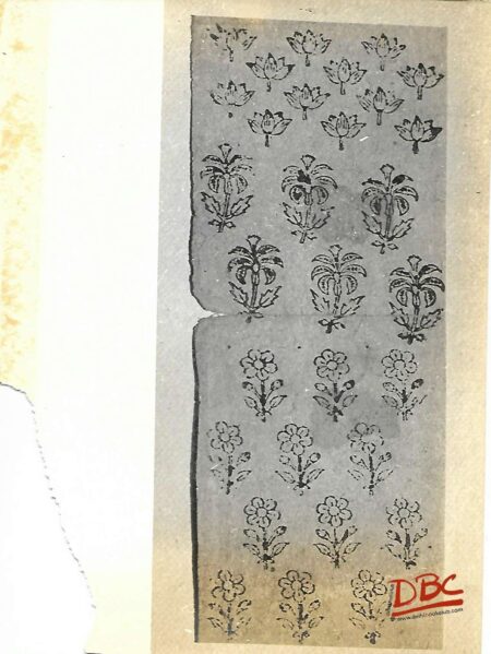 Paper Desgin Kangra