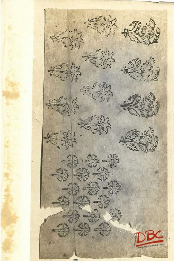 Paper Desgin Kangra