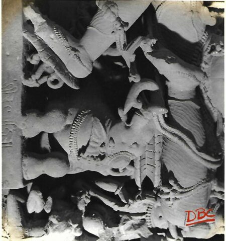Braghat Image of An Elephant Under A Dev From Chansal Yogin Temple