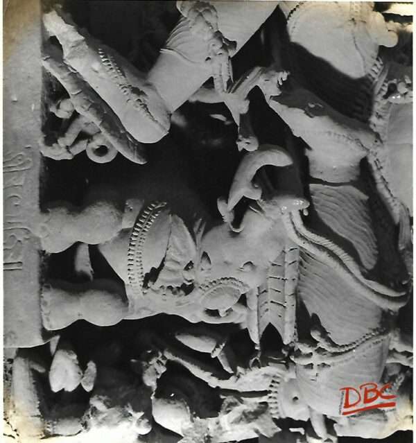 Braghat Image of An Elephant Under A Dev From Chansal Yogin Temple