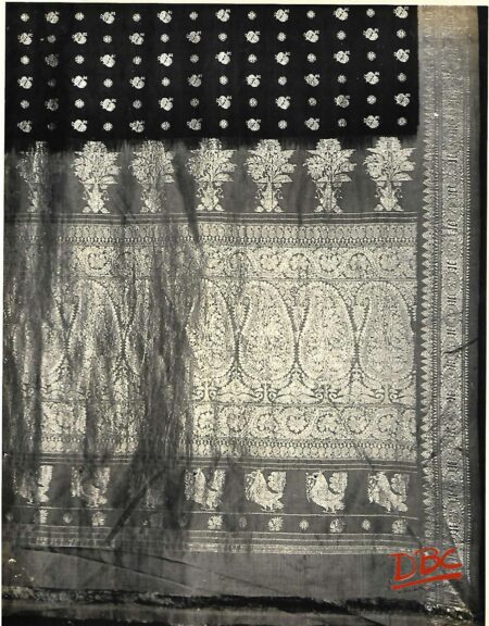 Purple Sari Red Border With (Reacock Motifs)