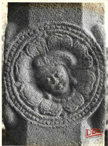 Bodqaya Lotus Medollion Aya Rails