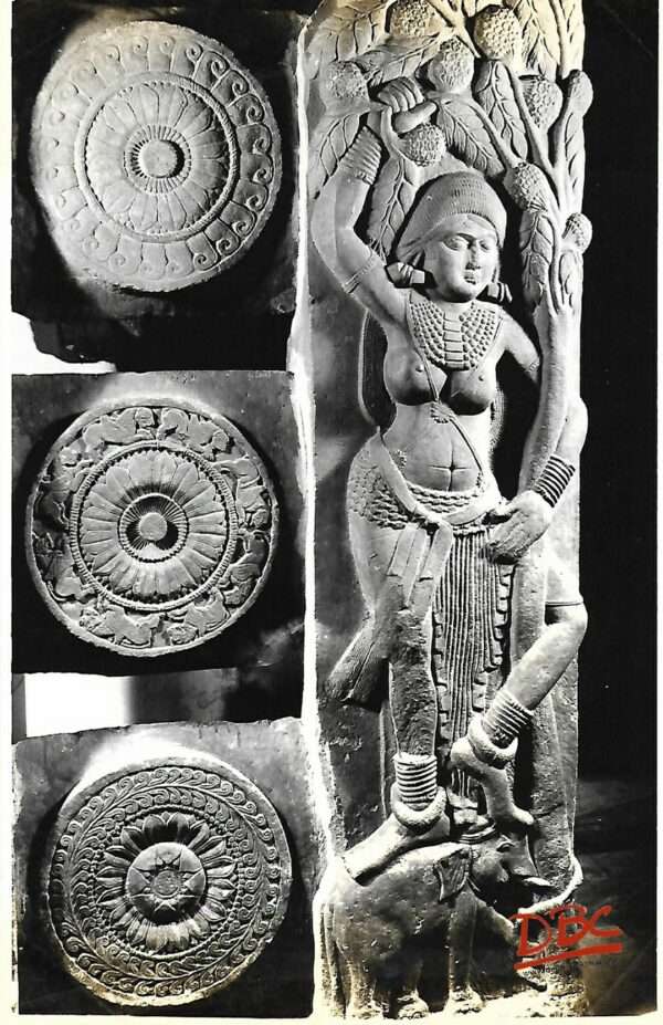 Bharhuh Railins Pillar Cholukoka Devta