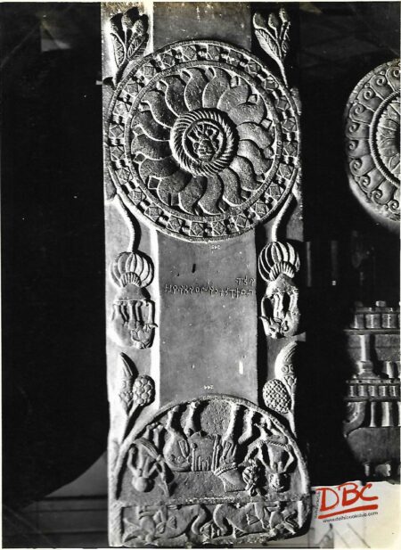 Bharhub A Rauhus Pillar
