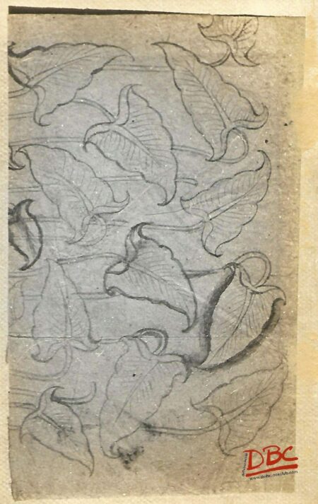Paper Desgin Kngra
