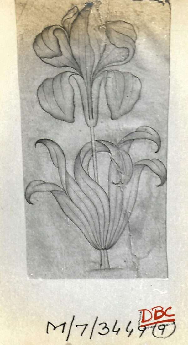 Paper Desgin Daccan