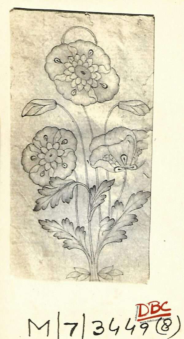 Paper Desgin Daccan