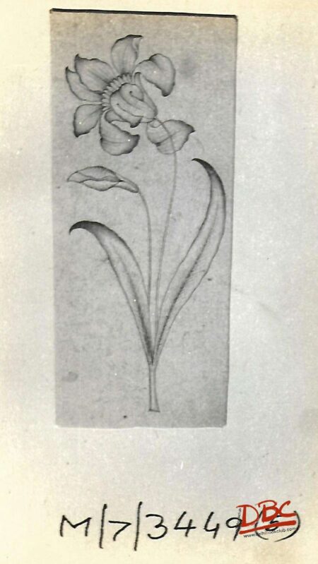 Paper Desgin Daccan