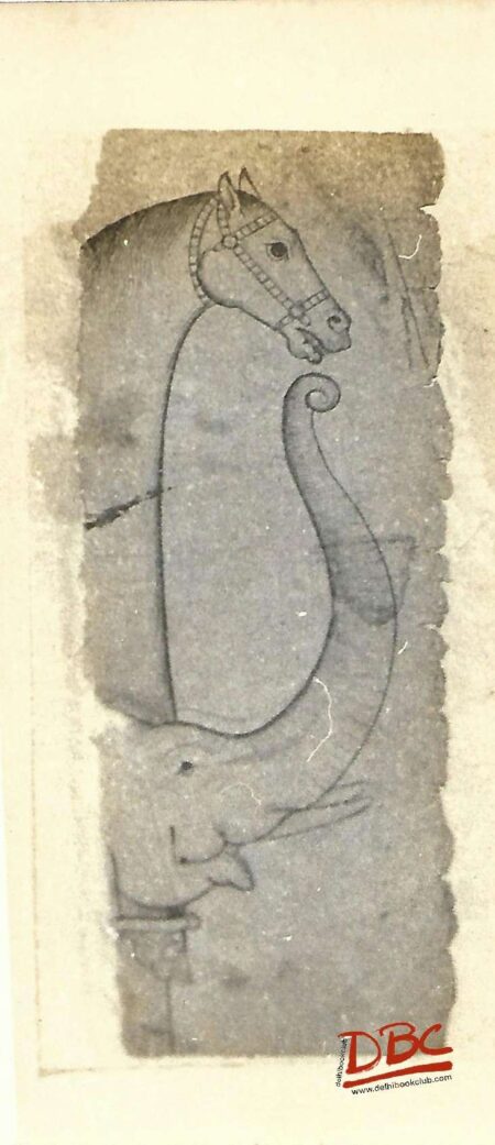 Paper Desgin Kngra