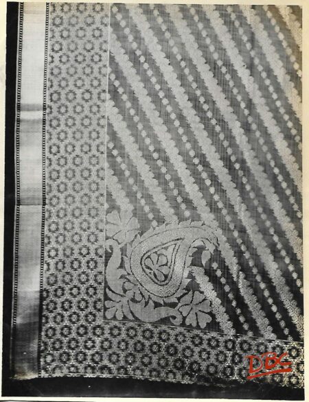 Rose Colour Sari