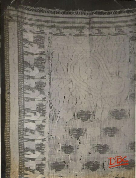 Sari Cloth