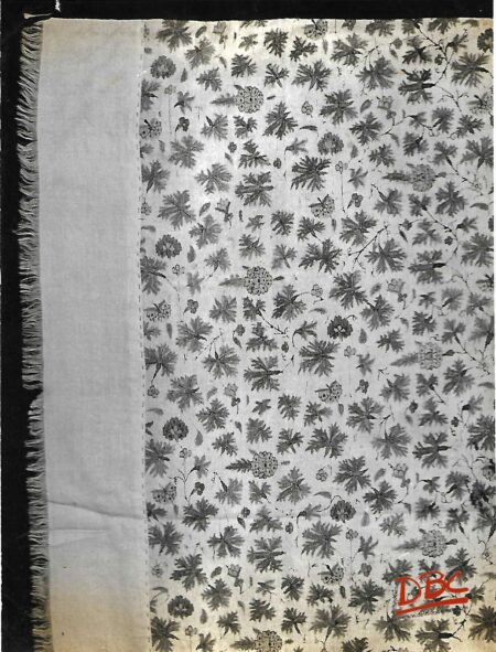 Kashmiri Shawl