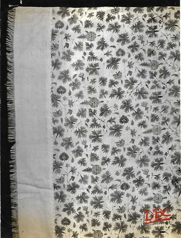 Kashmiri Shawl