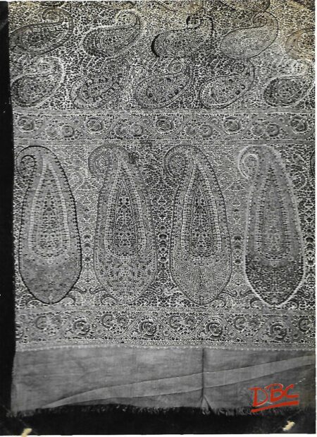 Kashmiri Shawl