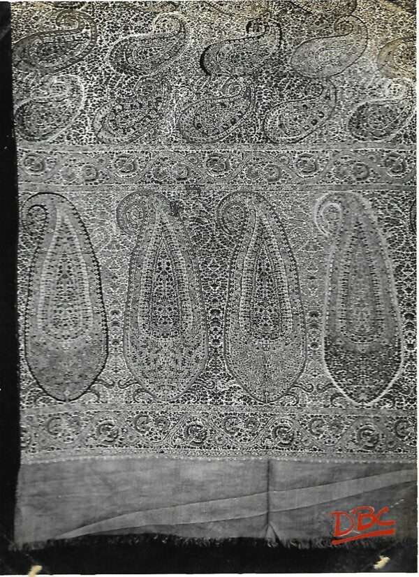 Kashmiri Shawl