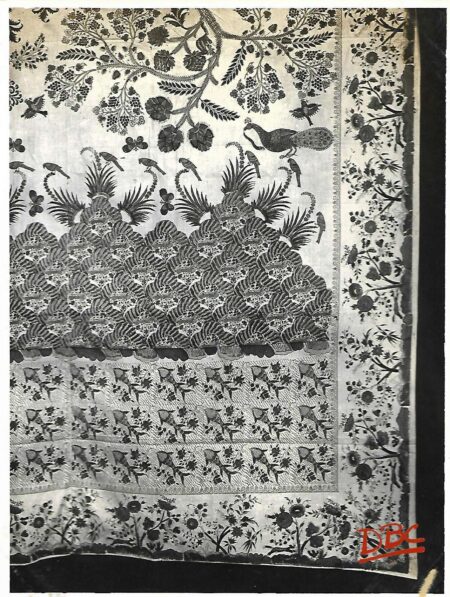 Surat Curtain