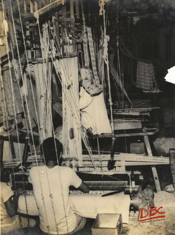 Gerneral View of the Looms