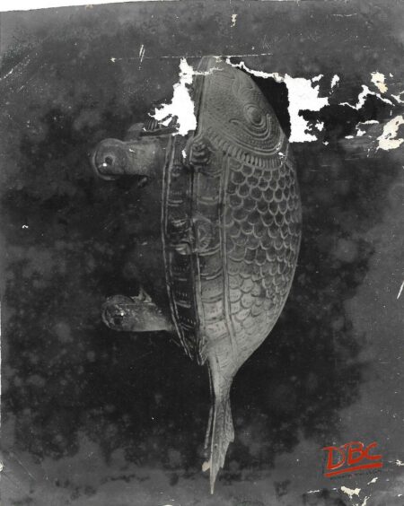 FISH DESIGNED PAN BOY