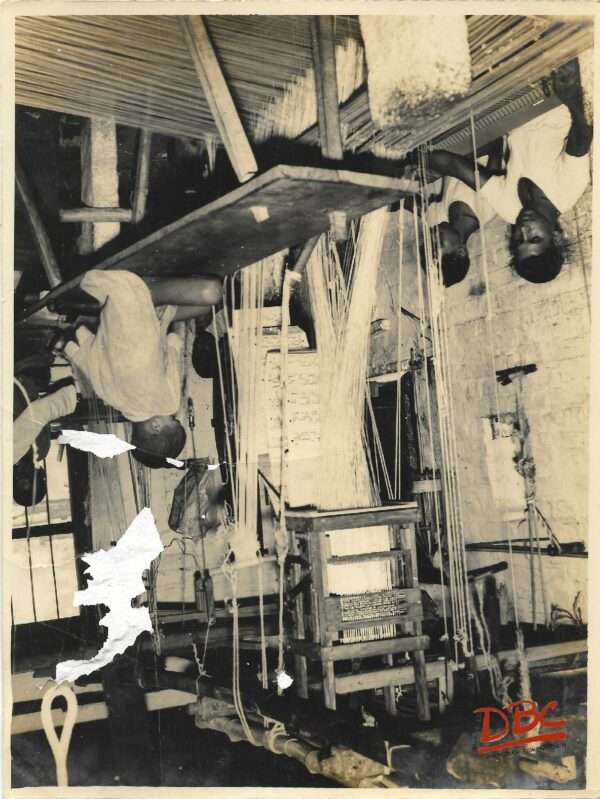 GERENAL VIEW OF THE LOOMS WITH PULL WORKING