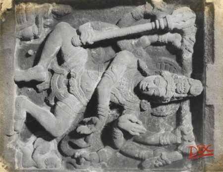 alampus papanachni detail natraj