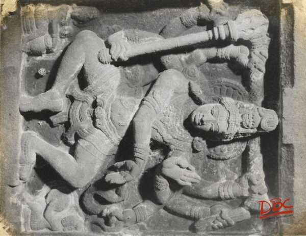 alampus papanachni detail natraj